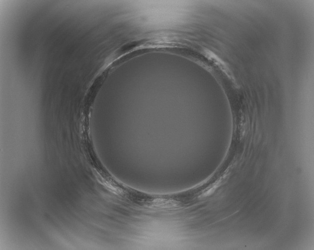 X0000075861449200609291535