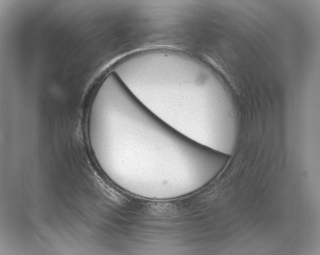 X0000075861452200609291535