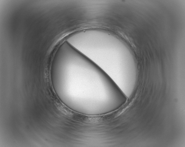 X0000075861453200609291535