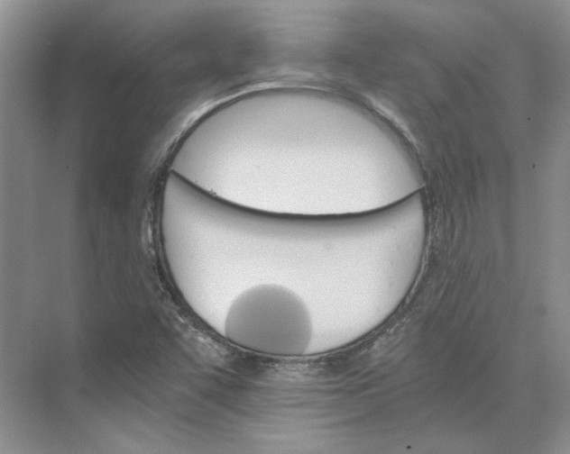 X0000075861455200609291535