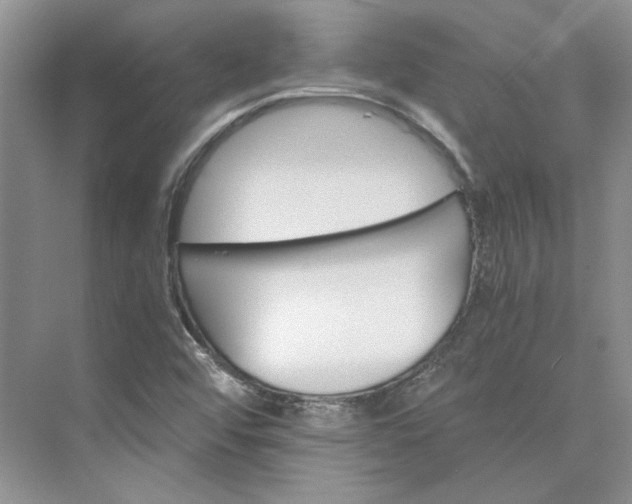 X0000075861456200609291535