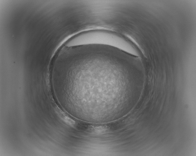 X0000075861460200609291535