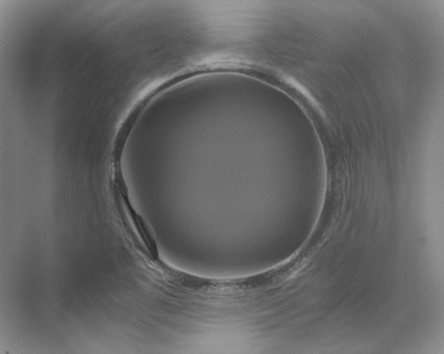 X0000075861461200609291535