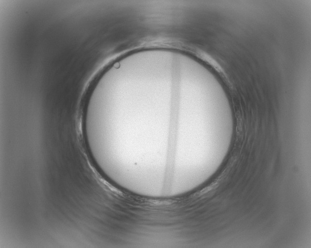 X0000075861462200609291535