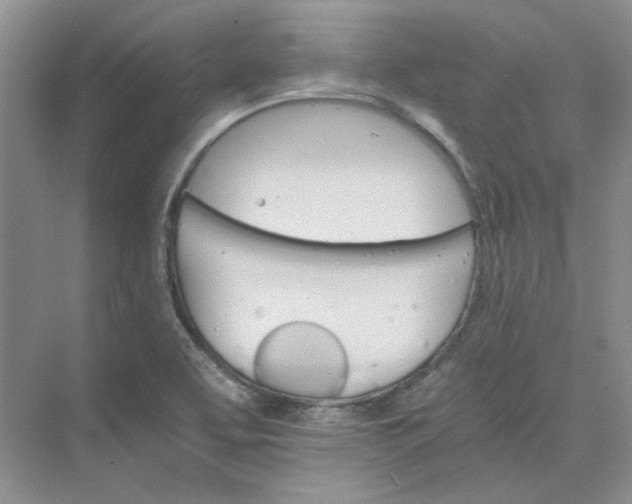 X0000075861463200609291535