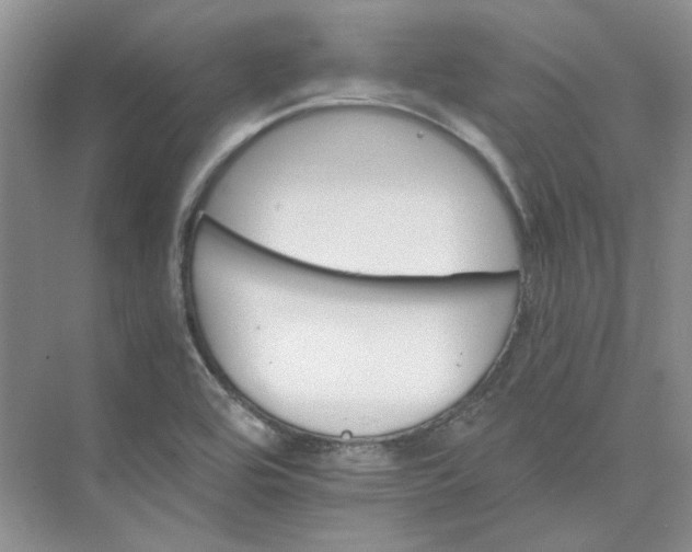 X0000075861464200609291535