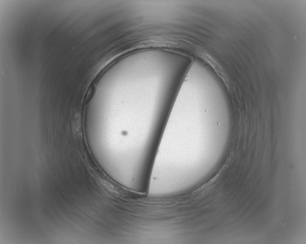 X0000075861465200609291535