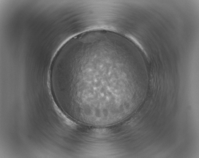 X0000075861468200609291535