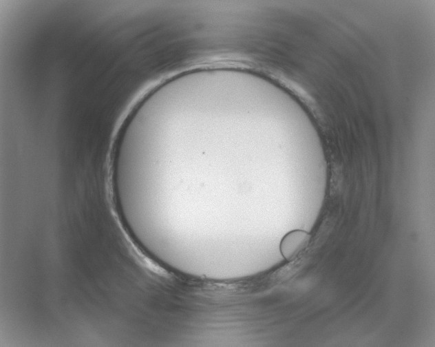 X0000075861470200609291535