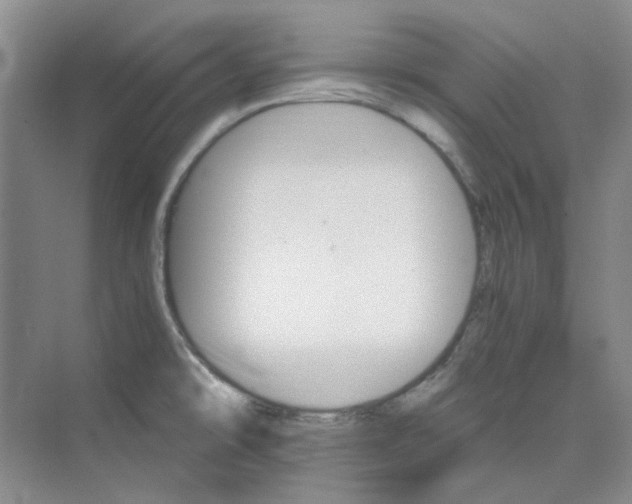 X0000075861478200609291535