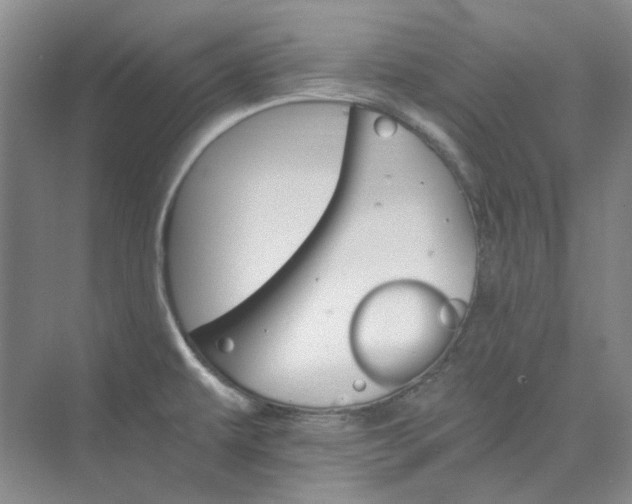 X0000075861479200609291535