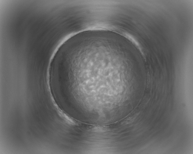 X0000075861480200609291535