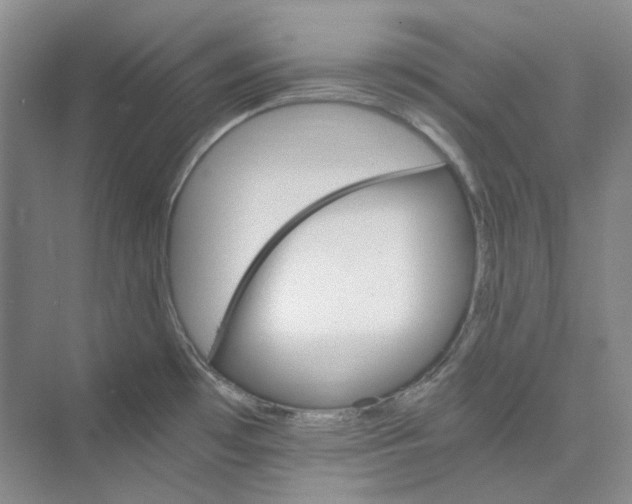 X0000075861481200609291535