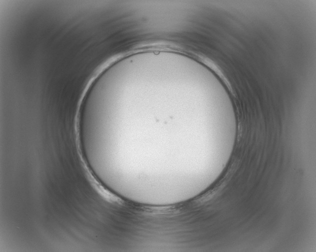 X0000075861482200609291535