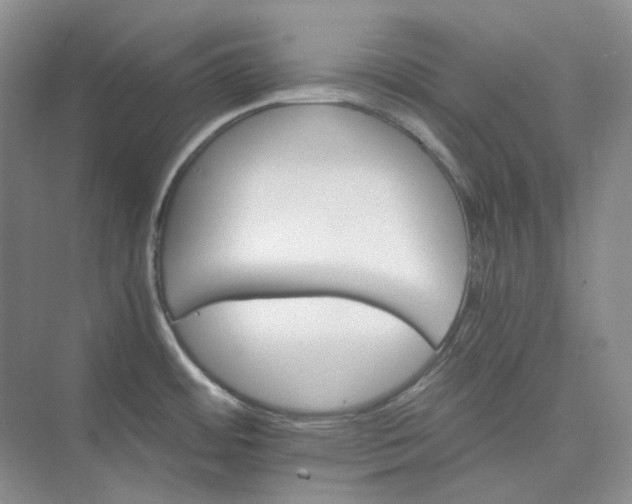 X0000075861484200609291535