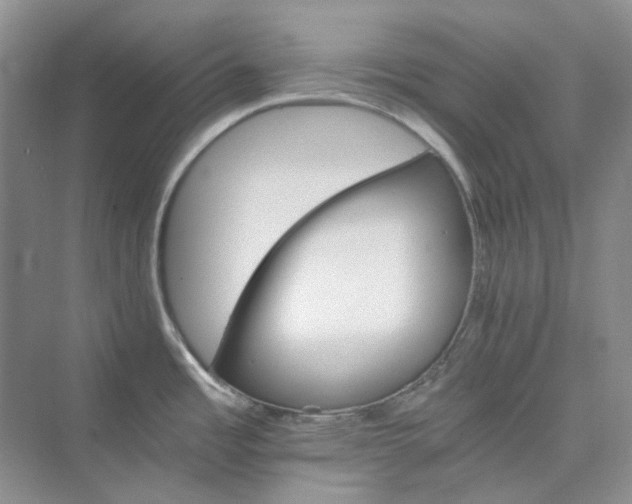 X0000075861485200609291535