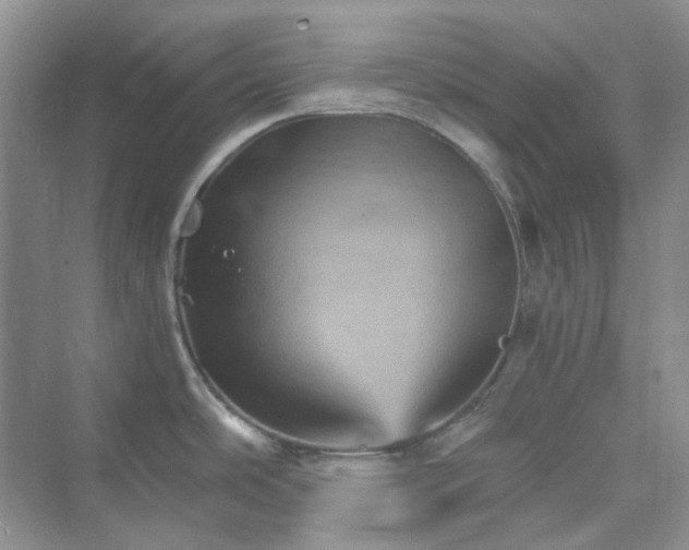 X0000075861486200609291535