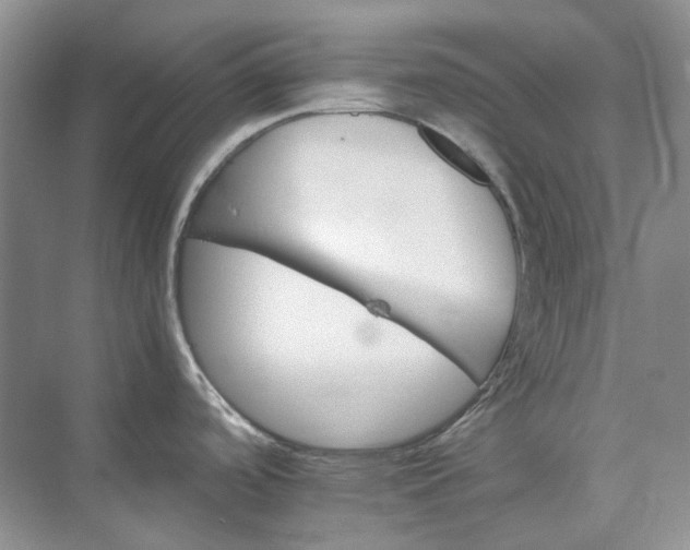 X0000075861488200609291535