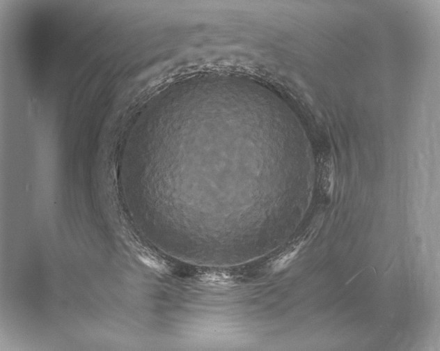 X0000075861489200609291534