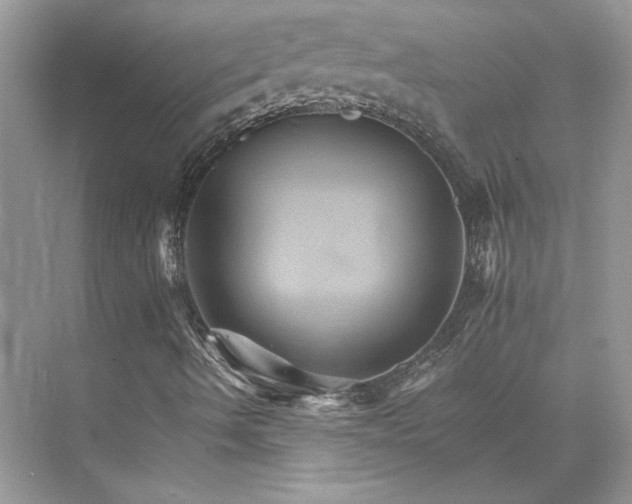 X0000075861490200609291534