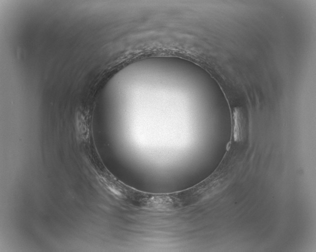 X0000075861491200609291534