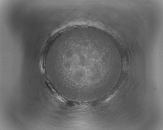 X0000075861494200609291534