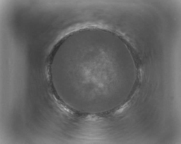 X0000075861496200609291534