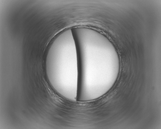 X0000075861497200609291534