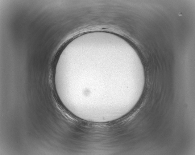 X0000075861498200609291534