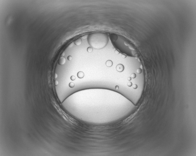 X0000075861499200609291534