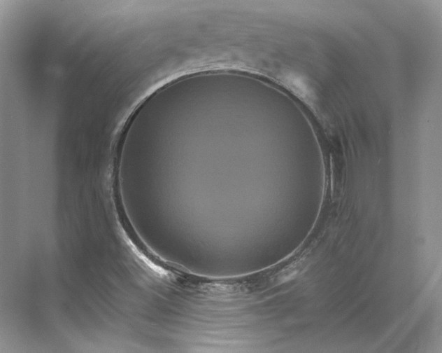 X0000075861500200609291534