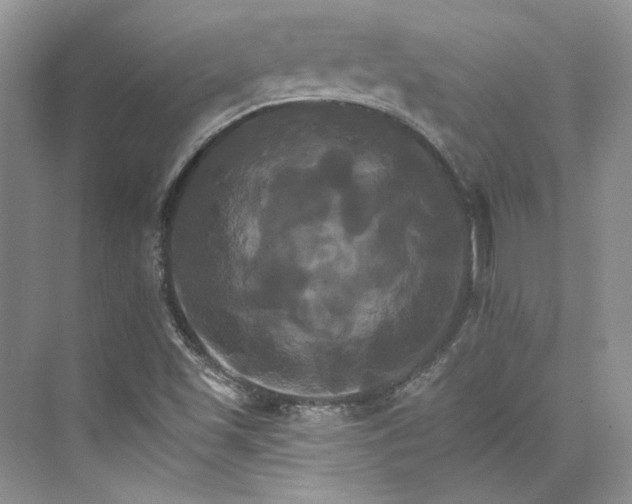 X0000075861501200609291534