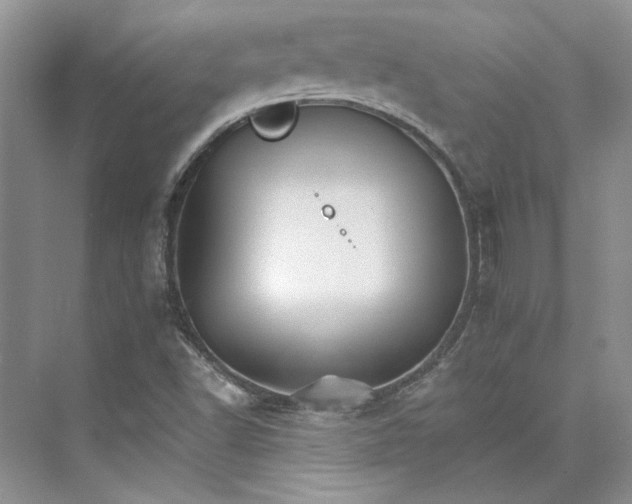 X0000075861502200609291534