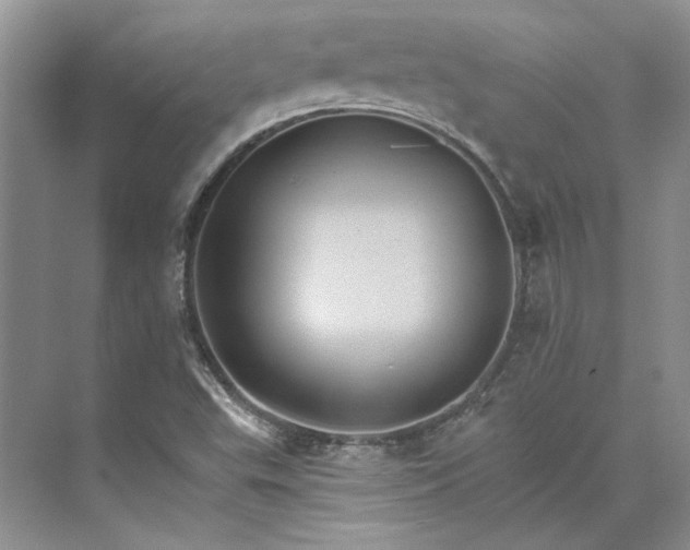 X0000075861503200609291534