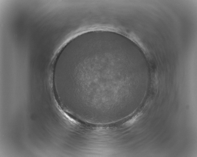 X0000075861504200609291534