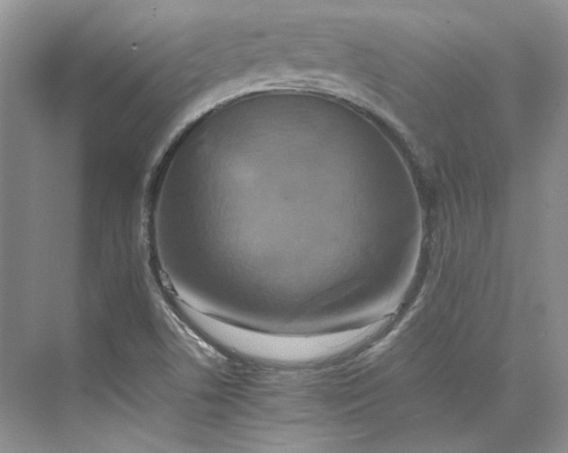 X0000075861506200609291534