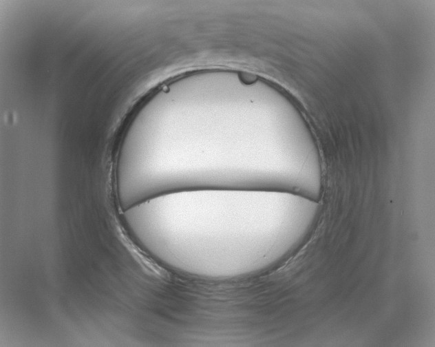 X0000075861507200609291534