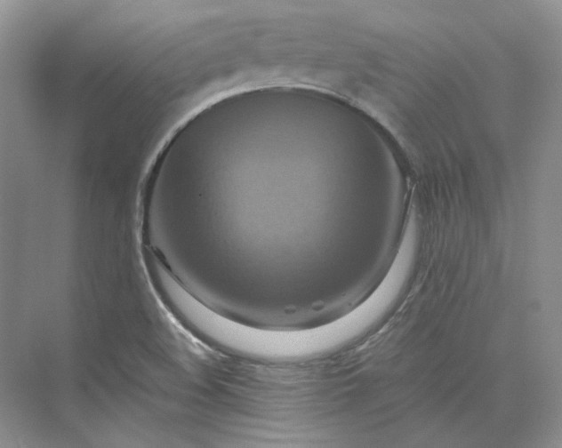 X0000075861508200609291534