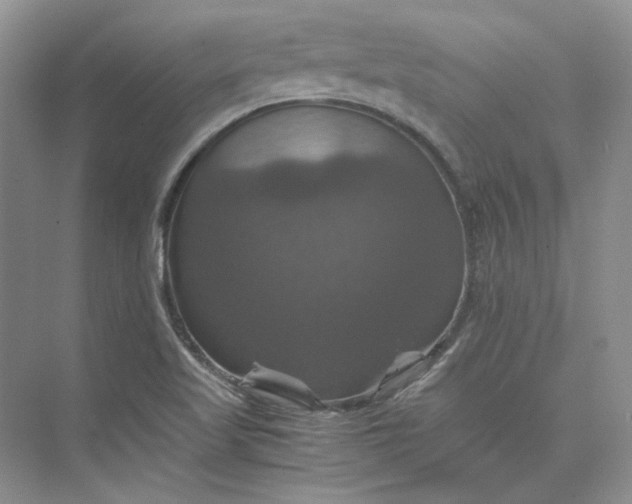 X0000075861509200609291534