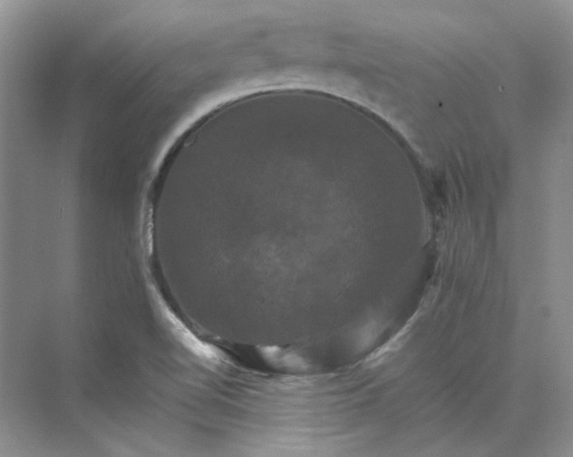 X0000075861510200609291534