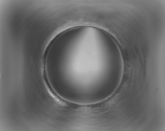 X0000075861511200609291534