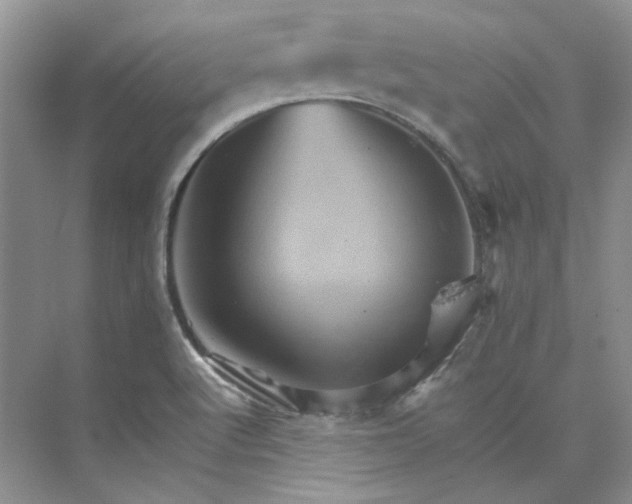 X0000075861512200609291534