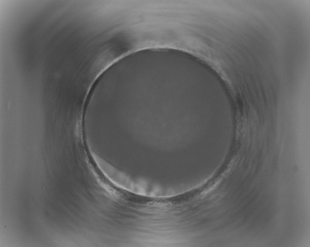 X0000075861513200609291534