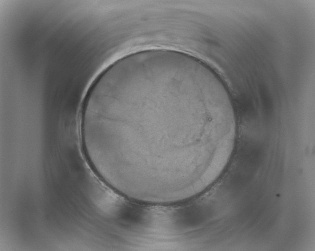 X0000075861514200609291534