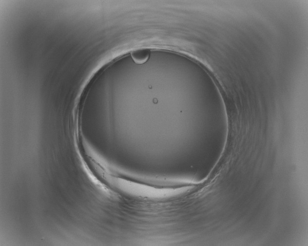 X0000075861515200609291534