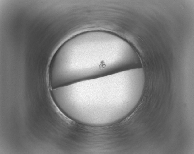 X0000075861516200609291534