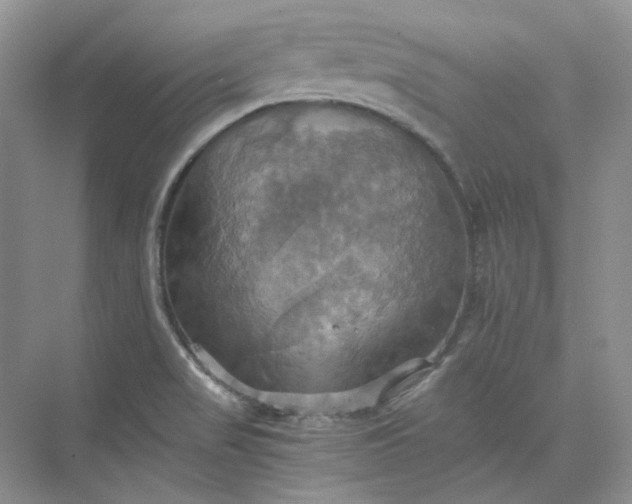 X0000075861517200609291534