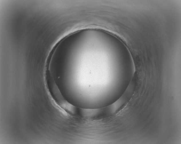 X0000075861518200609291534