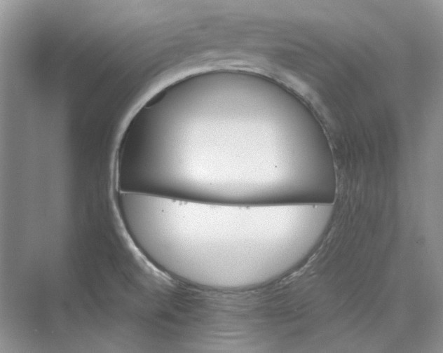 X0000075861520200609291535