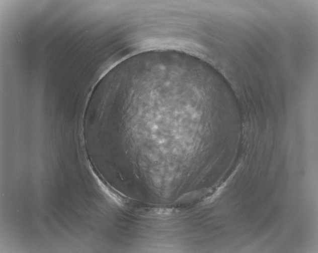 X0000075861521200609291535